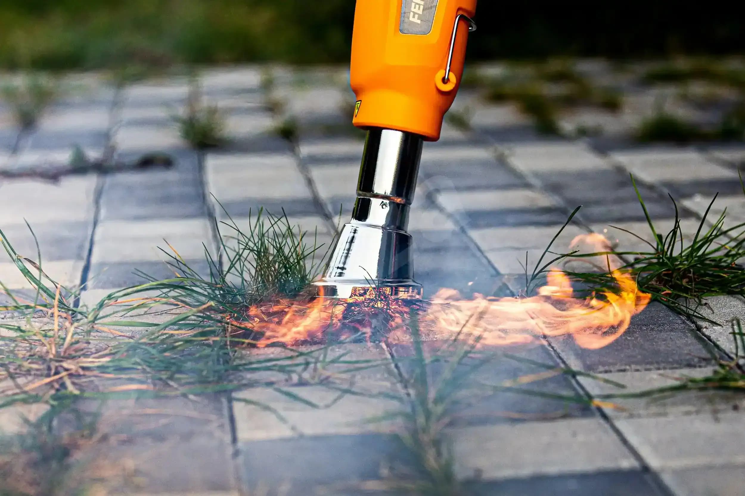 Legjobb gyomirtók
Legjobb gyomkiszedők