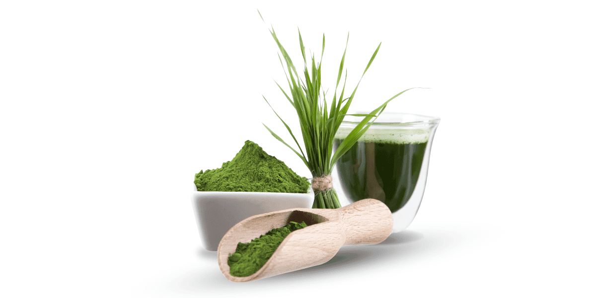 legjobb detox Chlorella_