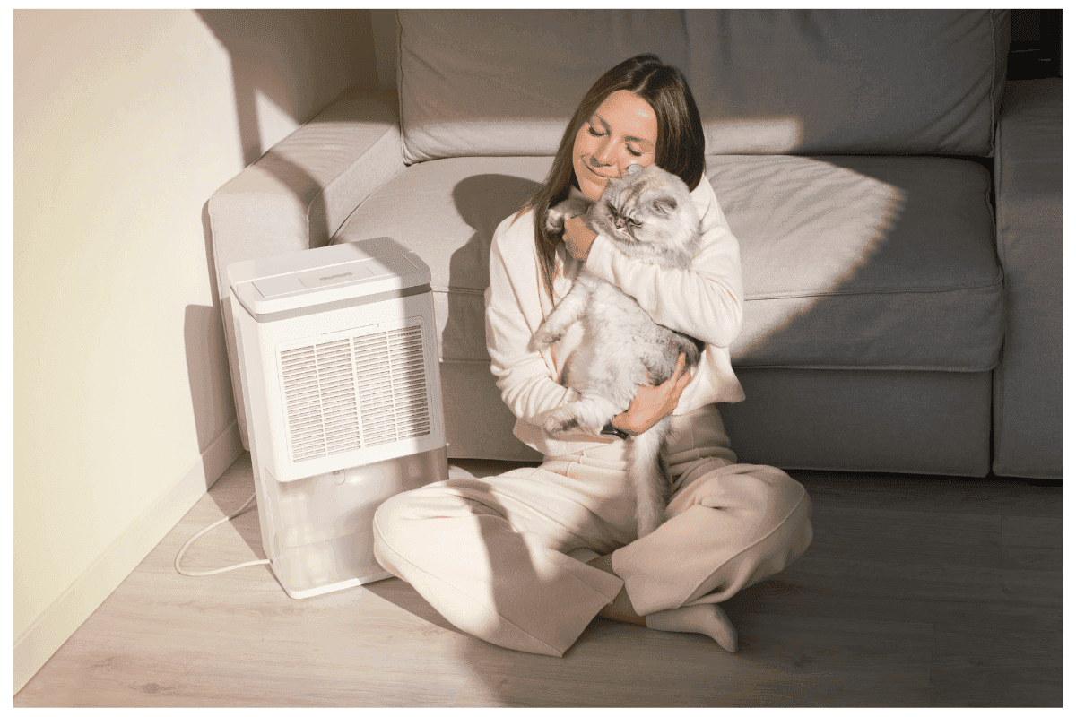 legjobb légtisztítók