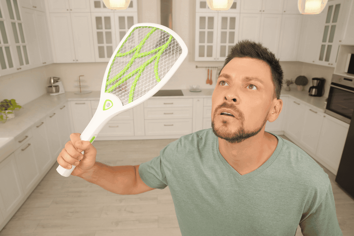 legjobb rovarcsapdak es rovarriasztok kezi teniszuto