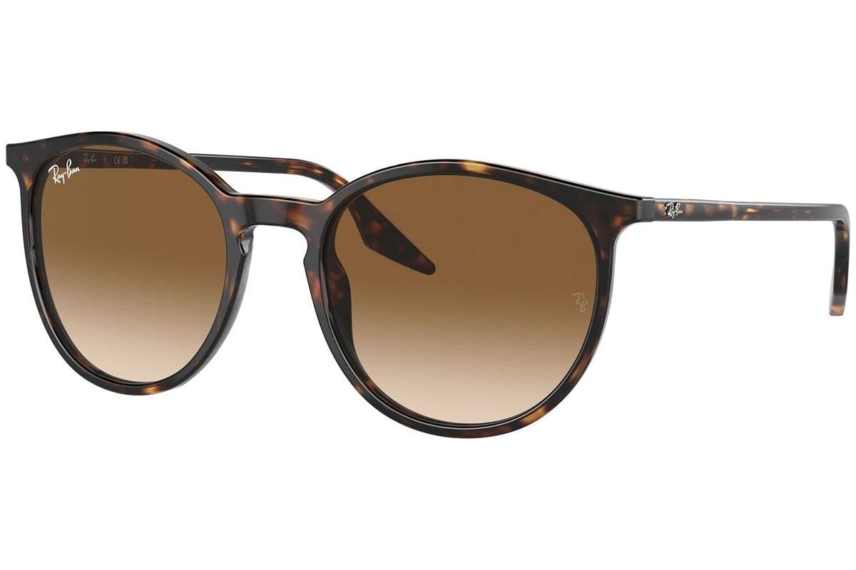 Ray-Ban RB2204