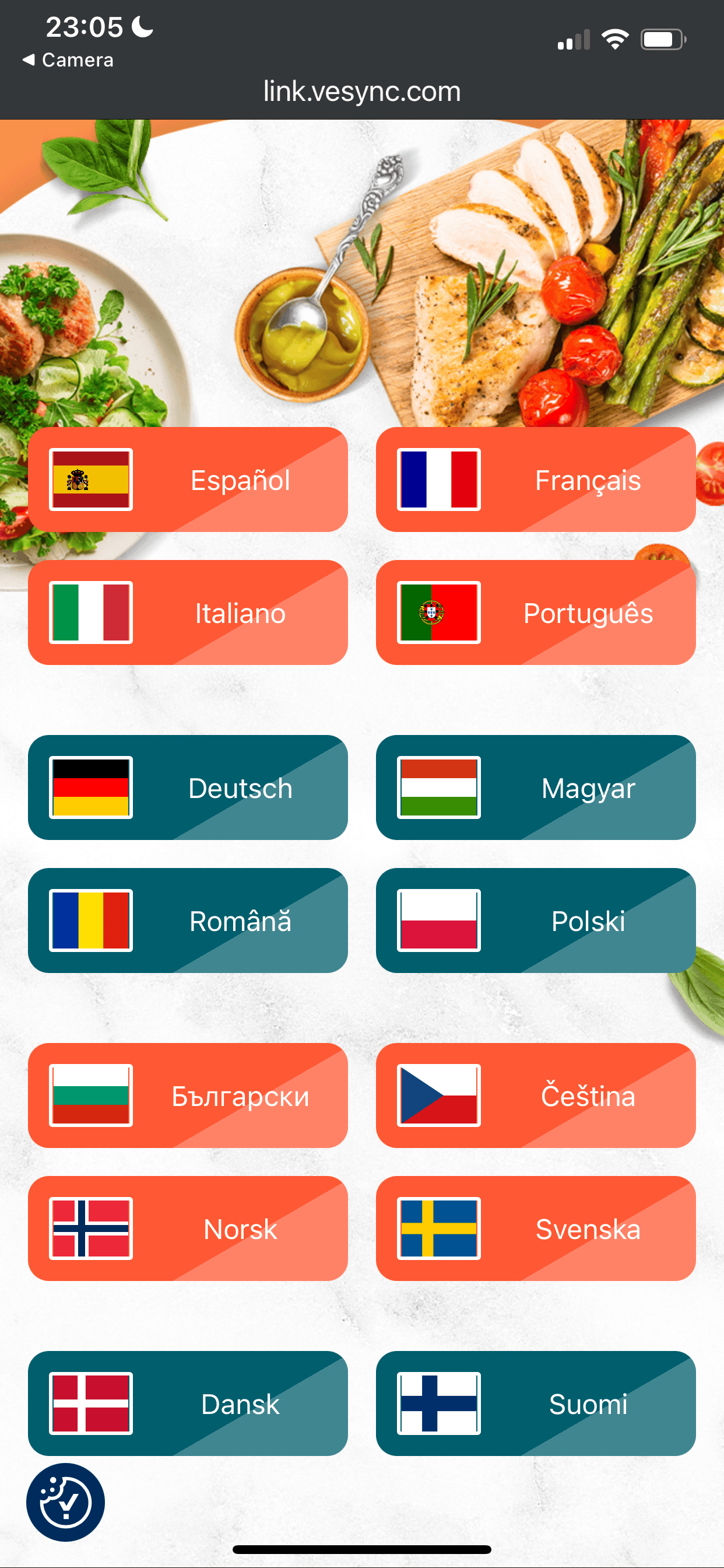 COSORI Dual Blaze TwinFry