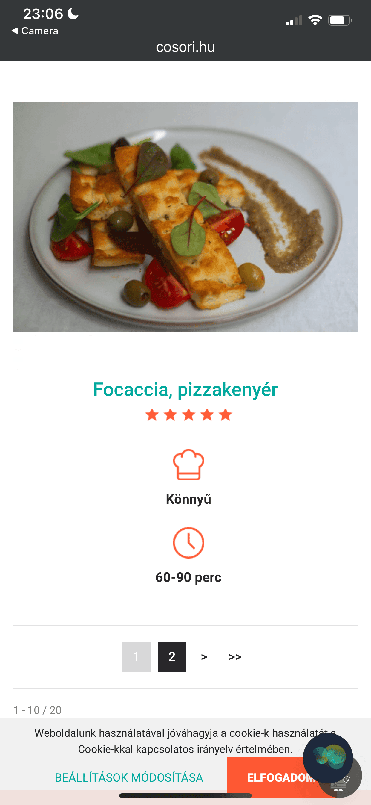 COSORI Dual Blaze TwinFry