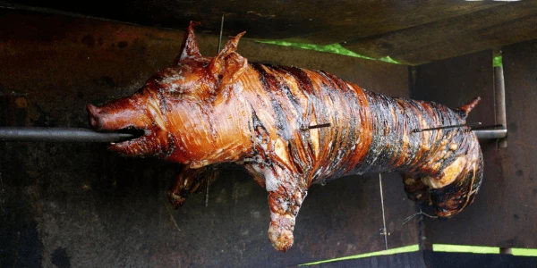Malacsütő grillek