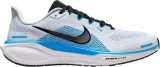 Nike Air Zoom Pegasus 41