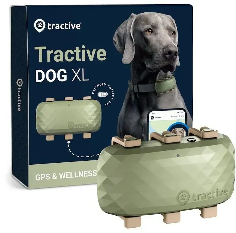 Tractive DOG XL Standard