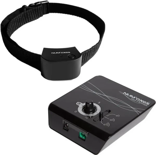 Canifugue Small: Product review