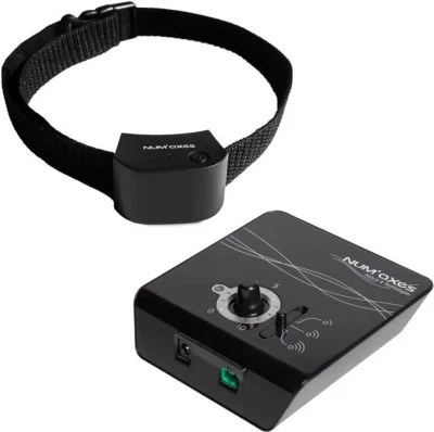 Canifugue Small