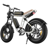 ENGWE M20