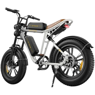 ENGWE M20