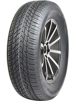 Royal Black Royal Winter HP 205/65 R15 94H