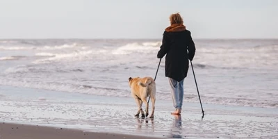 Legjobb nordic walking botok 2026-ban