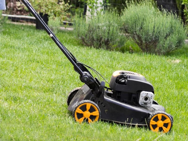 A legjobb kerti fűnyírók – Teszt és Tippek a választáshoz