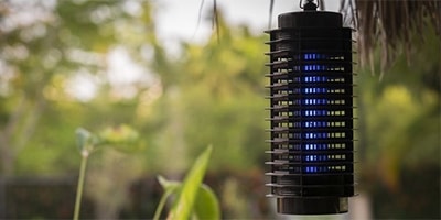 A legjobb rovarcsapdák és elektromos rovarriasztók 2026-ban