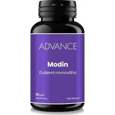 Advance Modin