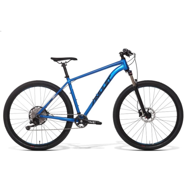 AMULET 29 Rival 4.0 SH: Product review