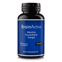 BrainActive