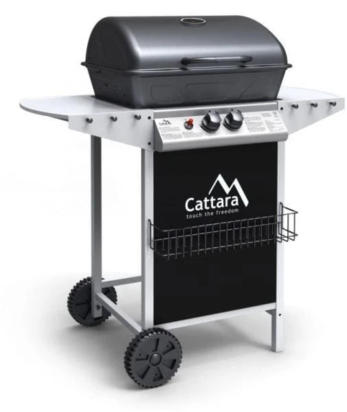 Cattara Party Point: Product review