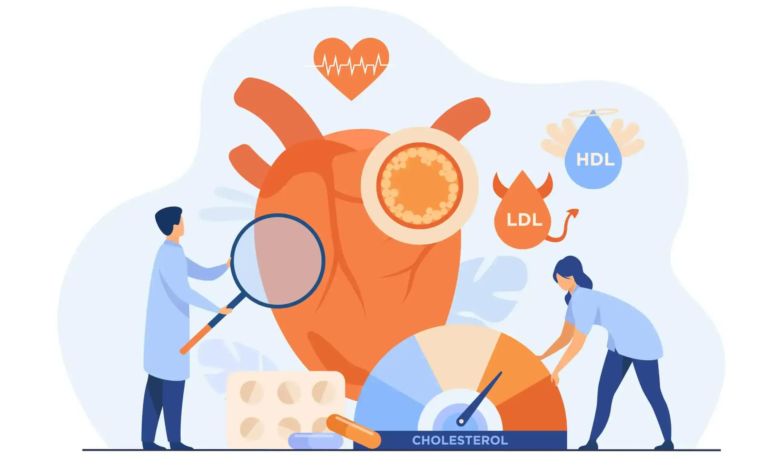 Koleszterin - animáció