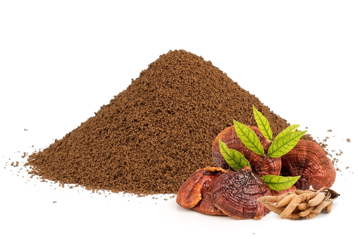 Cikória kávé reishivel és shatavarival