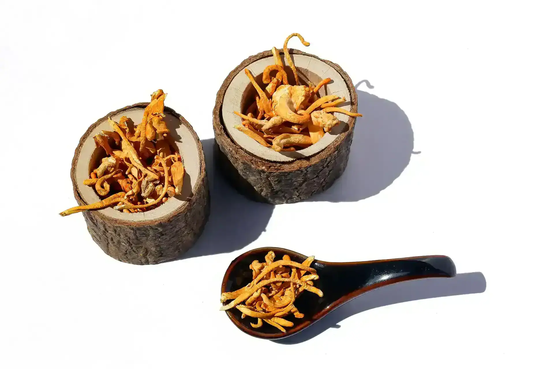 Szárított cordyceps