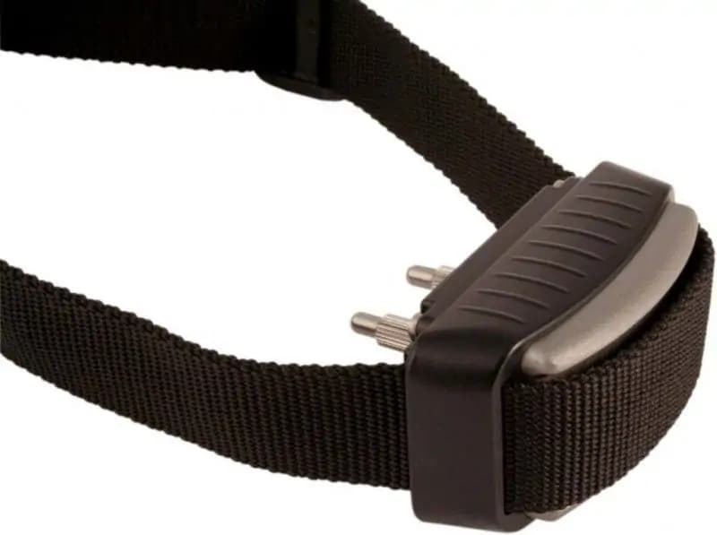 elektromos ugatásgátló nyakörv