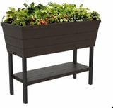 Keter Urban Bloomer