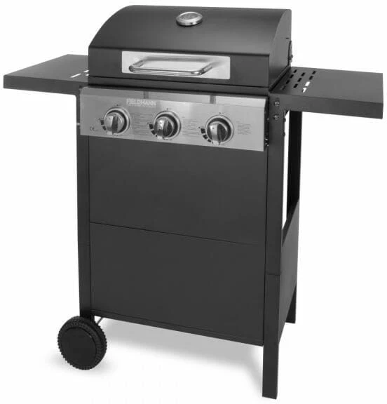 Fieldmann FZG 3003: Product review