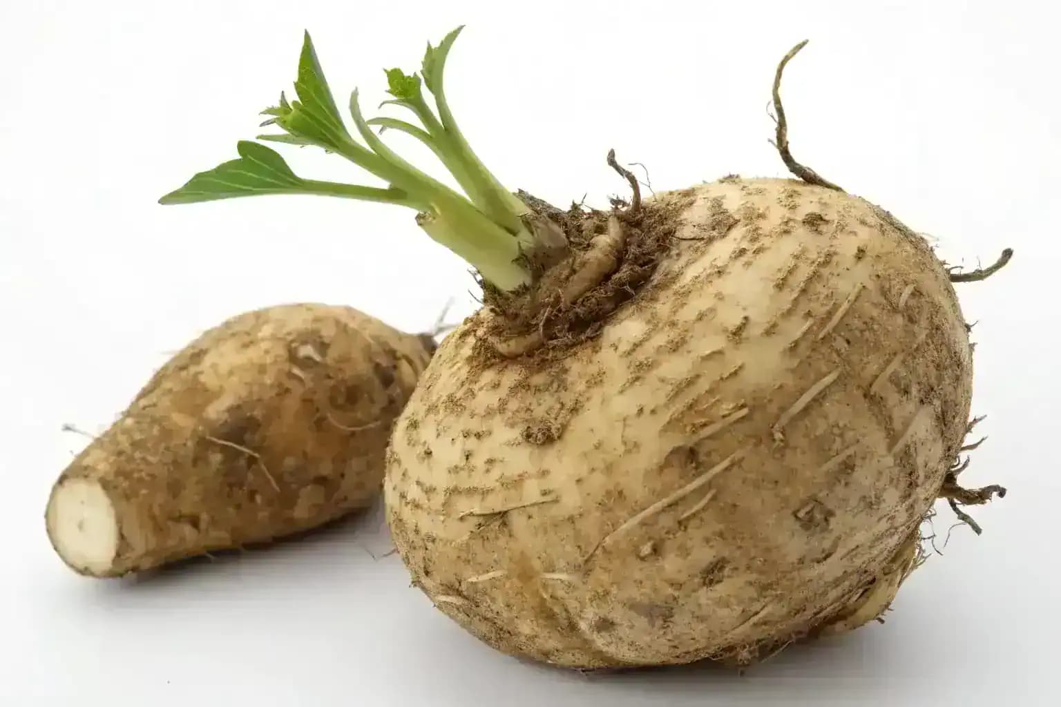 Glucomannan koreň konjacu