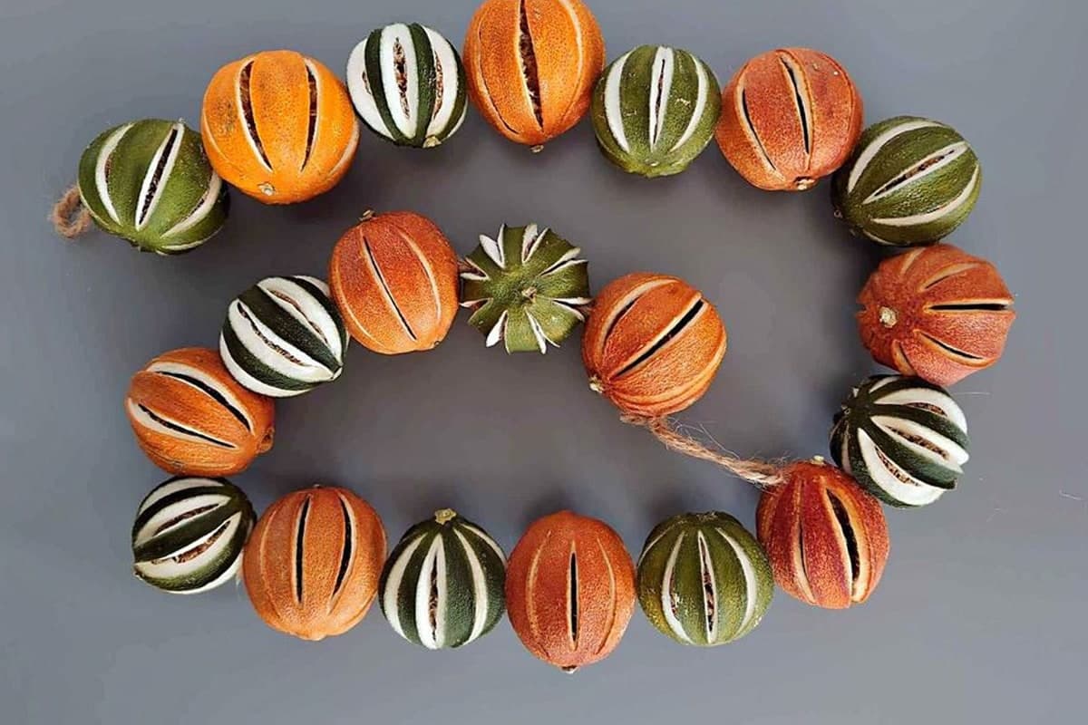 gyümölcsszárítók