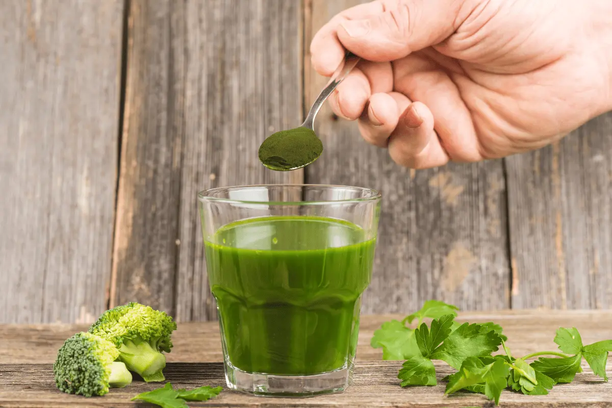 legjobb chlorella – ital