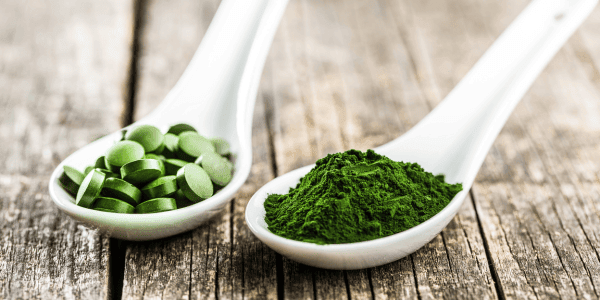 Chlorella