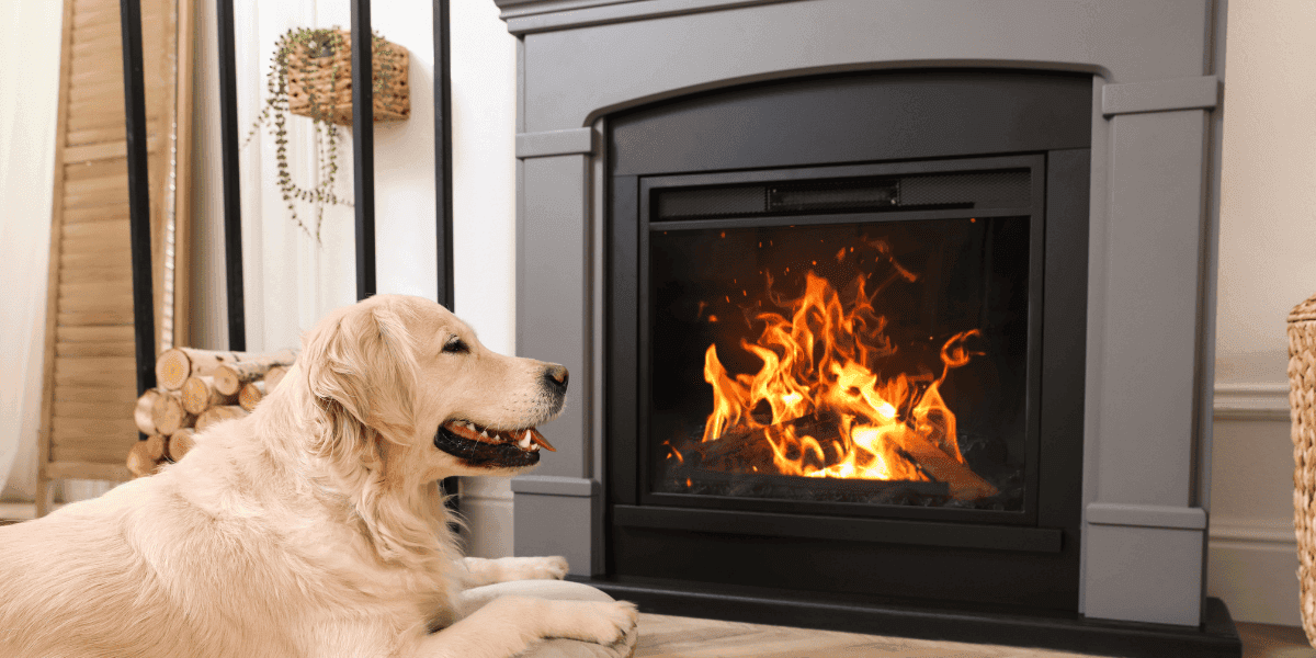 legjobb elektromos kandallók kutyus