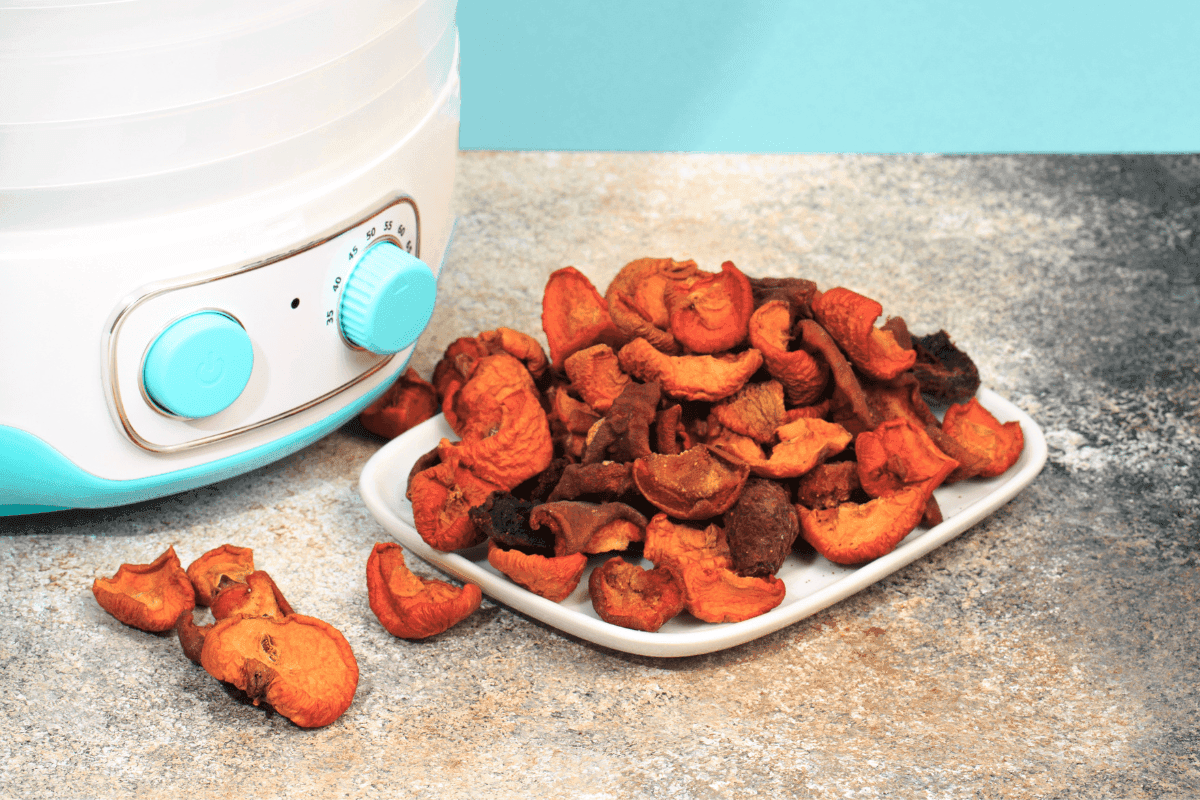 Legjobb gyumolcsszárítok - aszalógépek