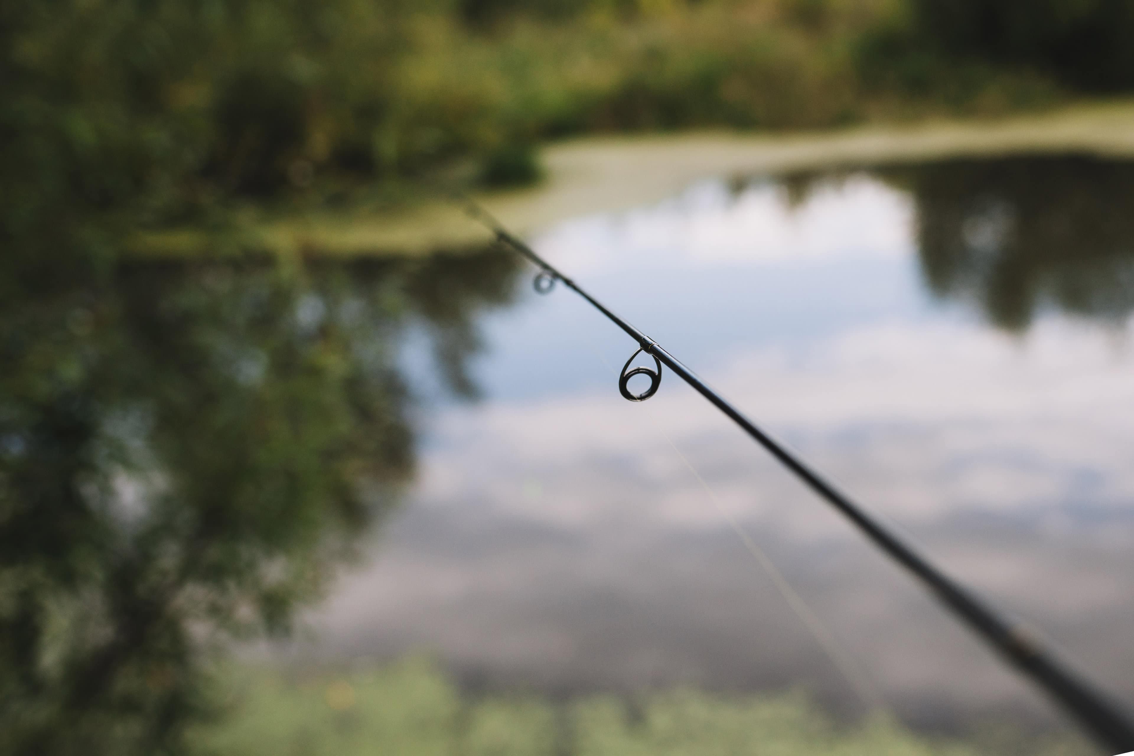 legjobb horgászbotok zsinórvezető gyűrűk
