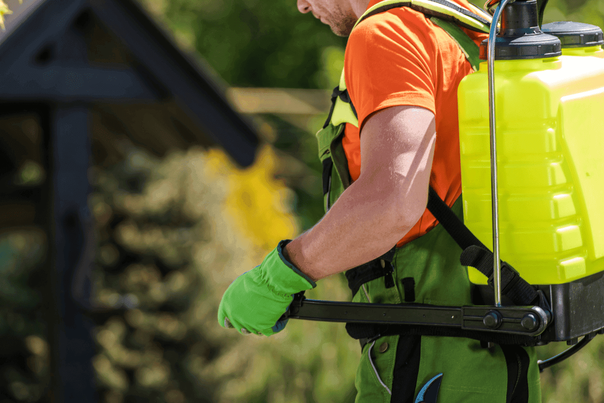 legjobb kerti permetezőgépek zold