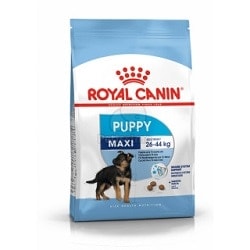 Royal Canin Maxi Puppy