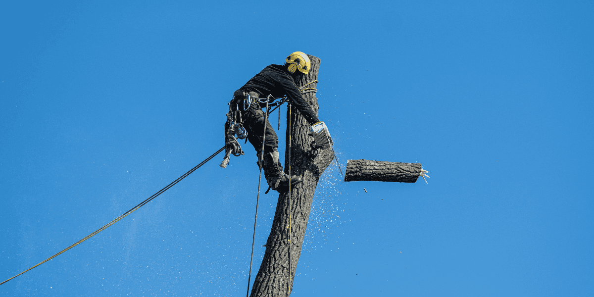 legjobb láncfűrészek magas vagas