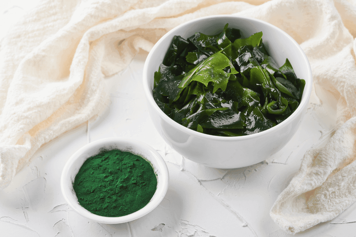 legjobb spirulina – alga