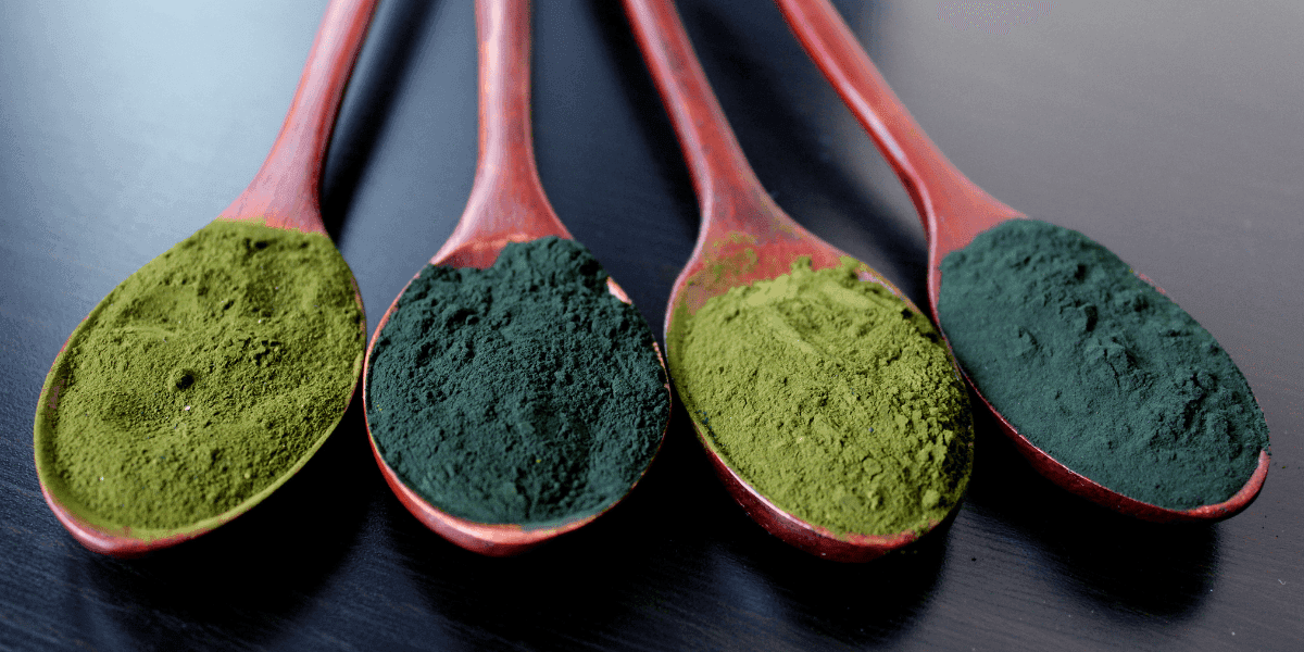 legjobb supergreens-ek – porok