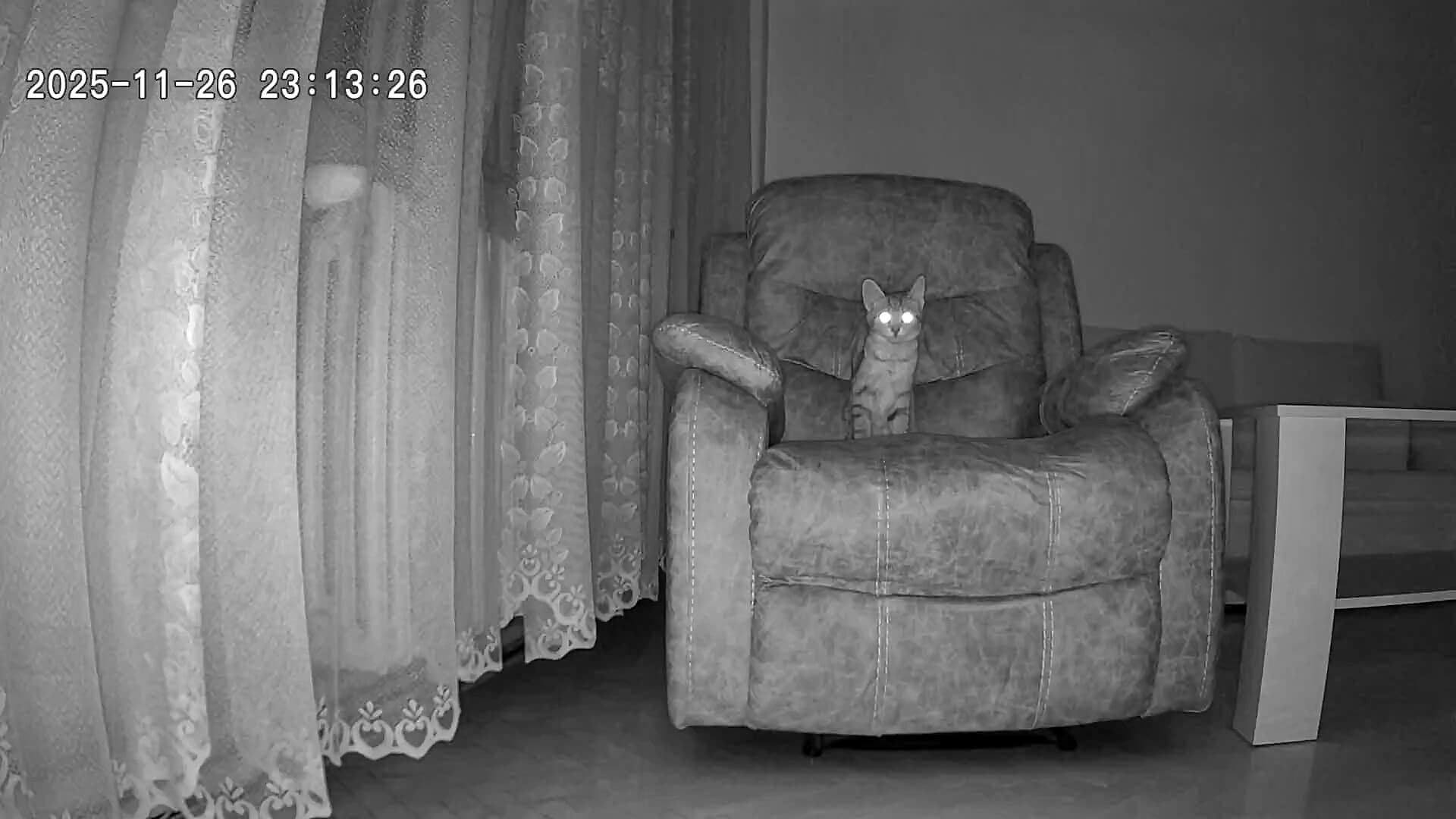 TrueLife NannyCam R6 Dual Smart éjjellátás, Testado értékelés