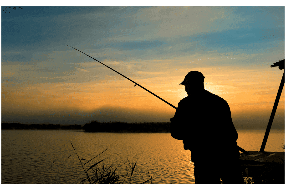 kapasjelzo elektromos halasz