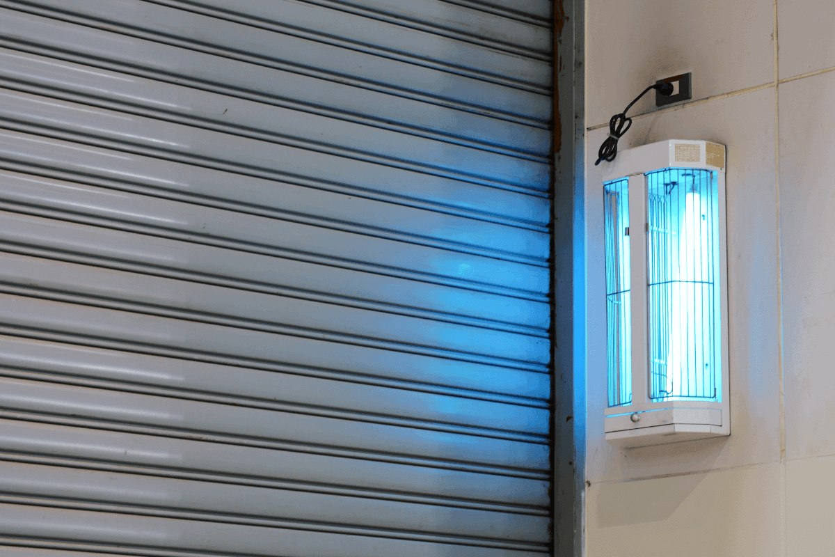 legjobb rovarcsapdak es rovarriasztok falon