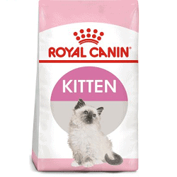 Royal Canin Kitten: Product review