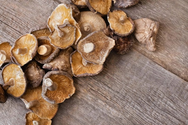 Shiitake gomba