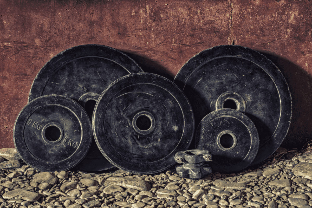 TOP 10 fitnesz gépe sulyok