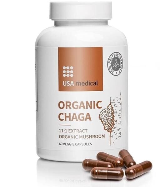 USA medical Organic Chaga gomba extract