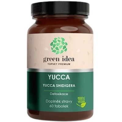 Green Idea Yucca