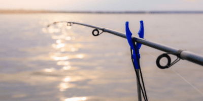 A legjobb horgászbot tartók 2024 – Vélemények és tippek